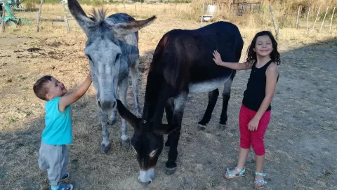 Imagen de experiencia