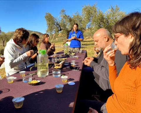 Imagen de experiencia