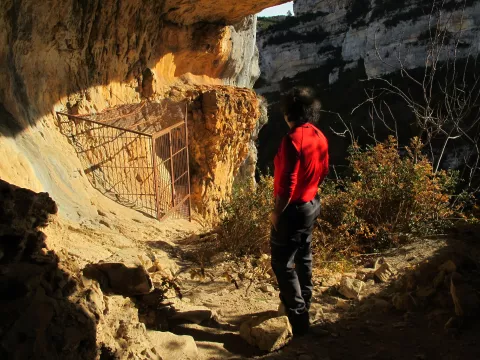 Imagen de experiencia