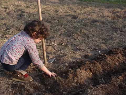 Imagen de experiencia