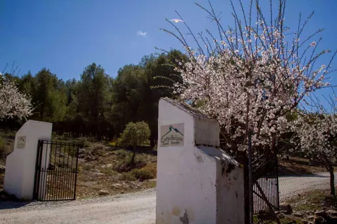 Imagen de alojamiento