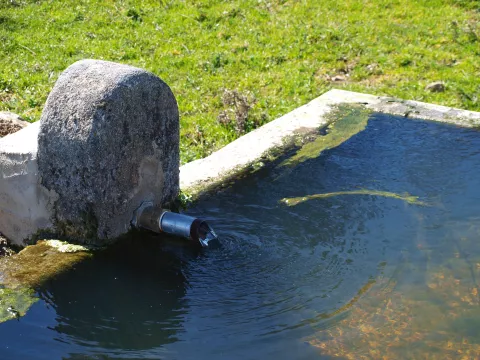 Imagen de experiencia