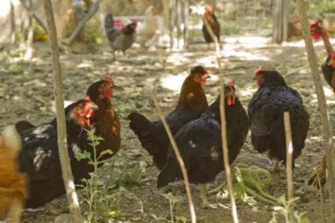 Imagen de alojamiento