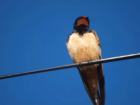 Imagen de experiencia