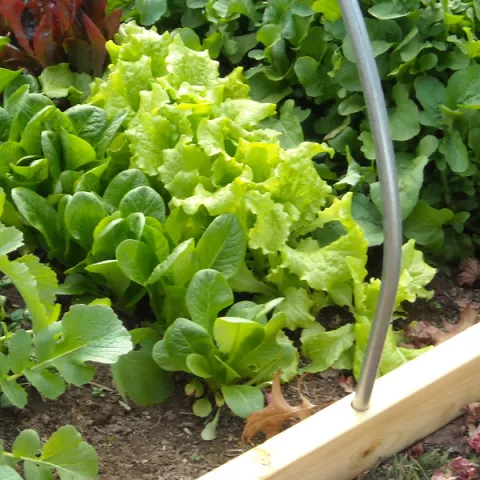 Imagen de alojamiento