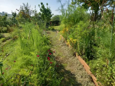 Imagen de alojamiento