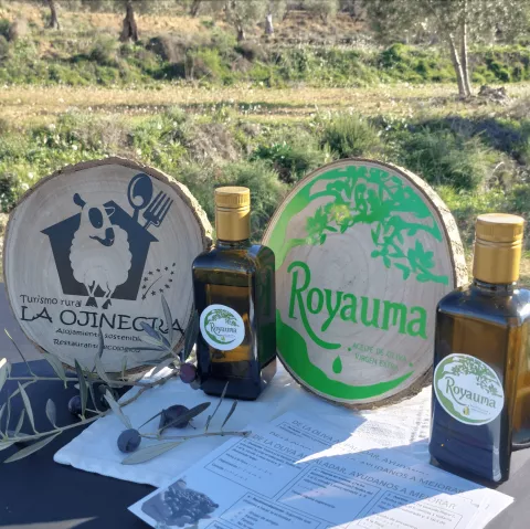 Imagen de experiencia