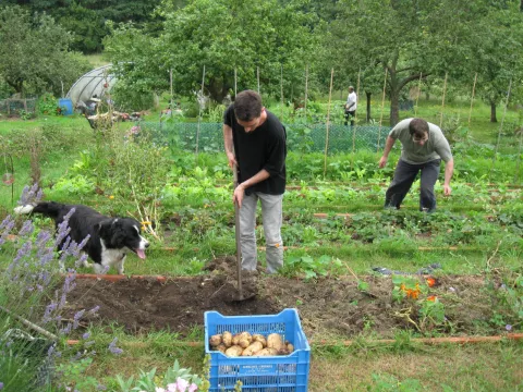 Imagen de experiencia