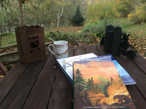 Imagen de alojamiento