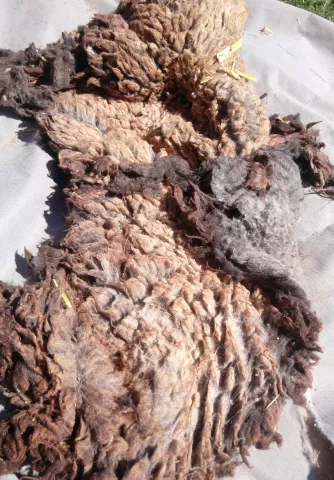 Imagen de experiencia