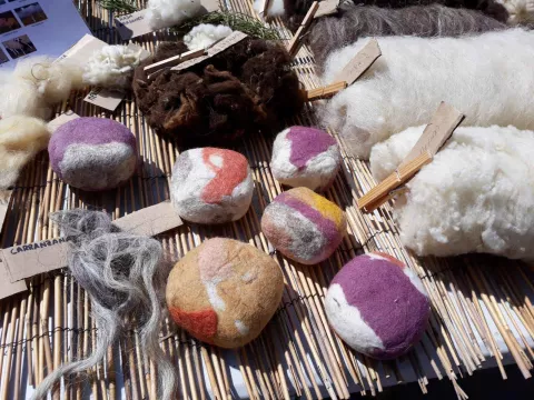 Imagen de experiencia