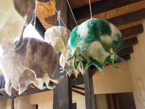 Imagen de experiencia