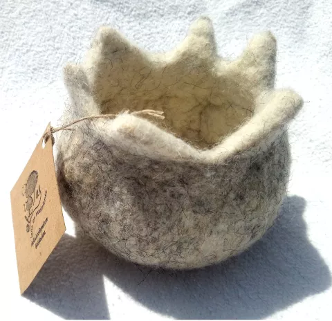 Imagen de experiencia