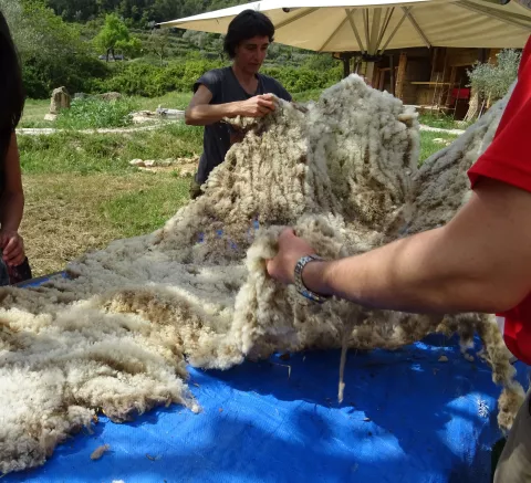 Imagen de experiencia