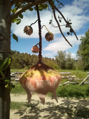 Imagen de experiencia