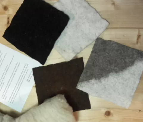 Imagen de experiencia