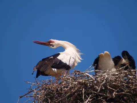 Imagen de experiencia