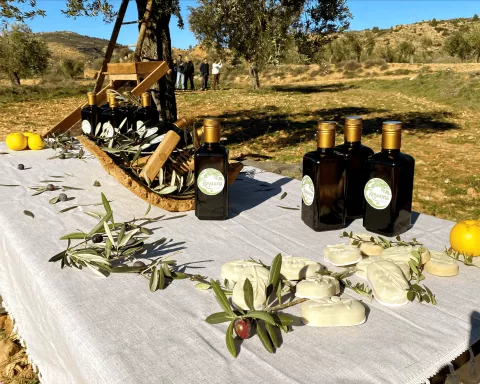 Imagen de experiencia