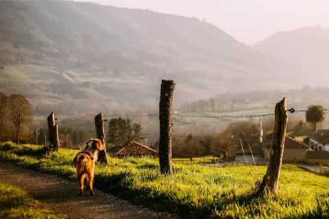 Imagen de alojamiento