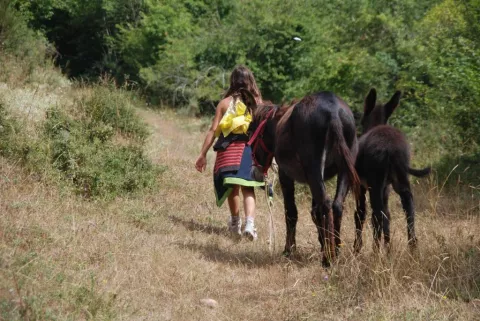 Imagen de alojamiento