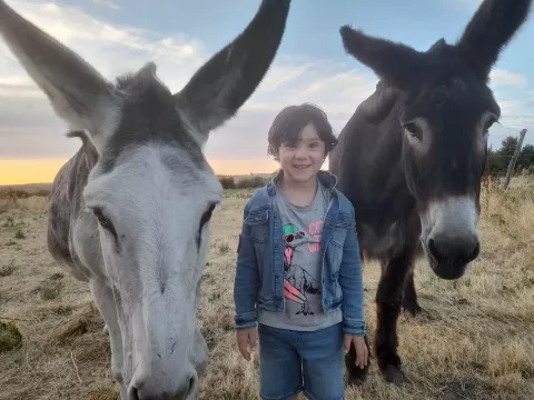 Imagen de experiencia