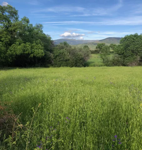 Imagen de experiencia