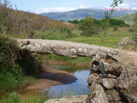 Imagen de experiencia