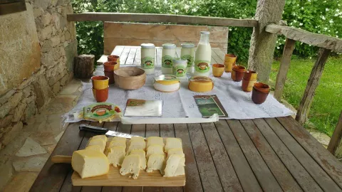 Imagen de alojamiento