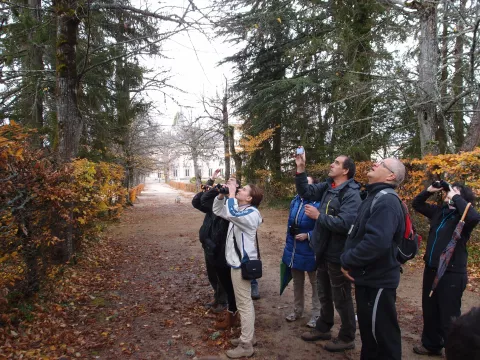 Imagen de experiencia