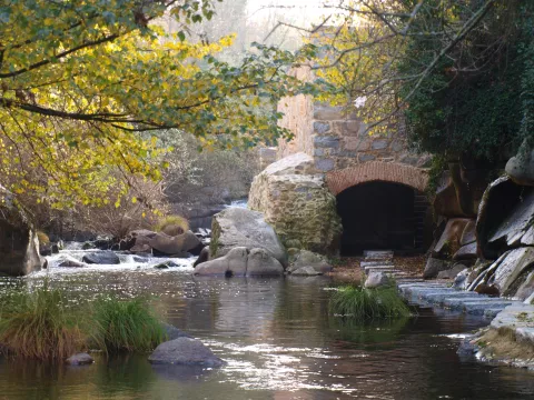 Imagen de experiencia