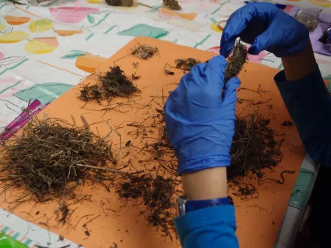 Imagen de experiencia