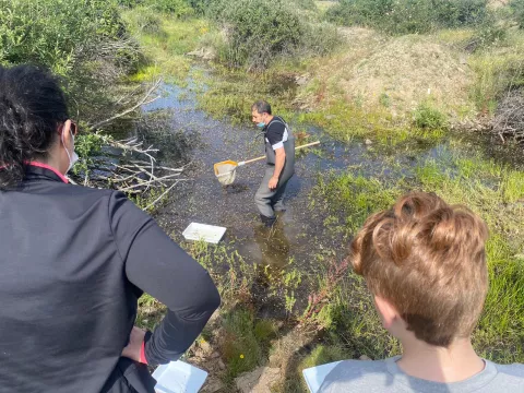 Imagen de experiencia