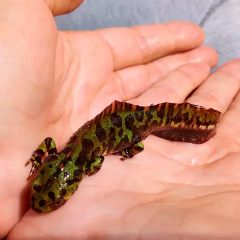 Imagen de experiencia