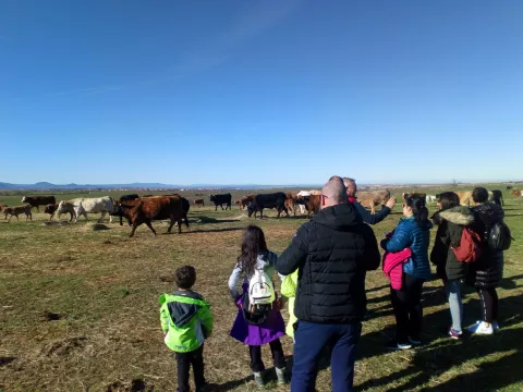 Imagen de experiencia