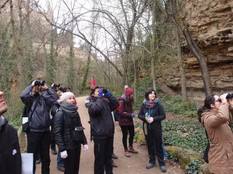 Imagen de experiencia