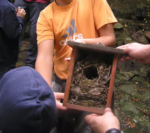 Imagen de experiencia