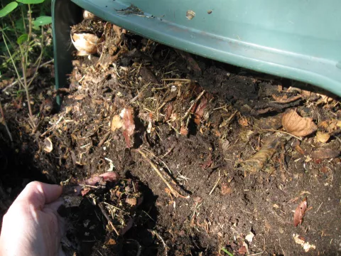 Imagen de experiencia