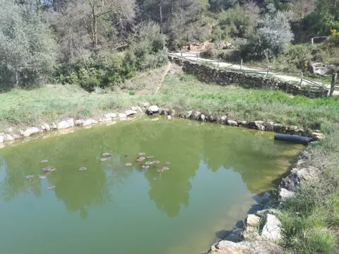 Imagen de experiencia