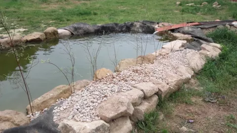 Imagen de experiencia