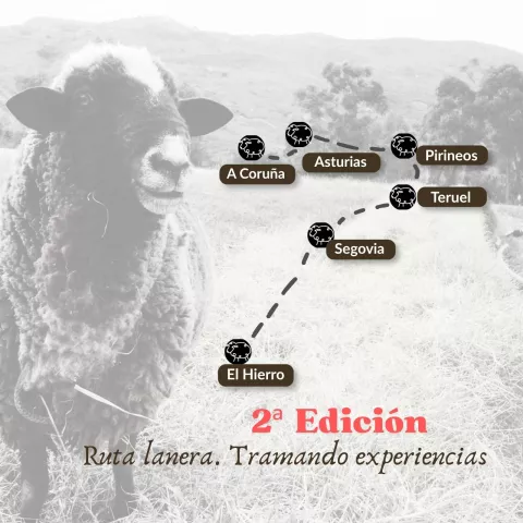 Imagen de experiencia